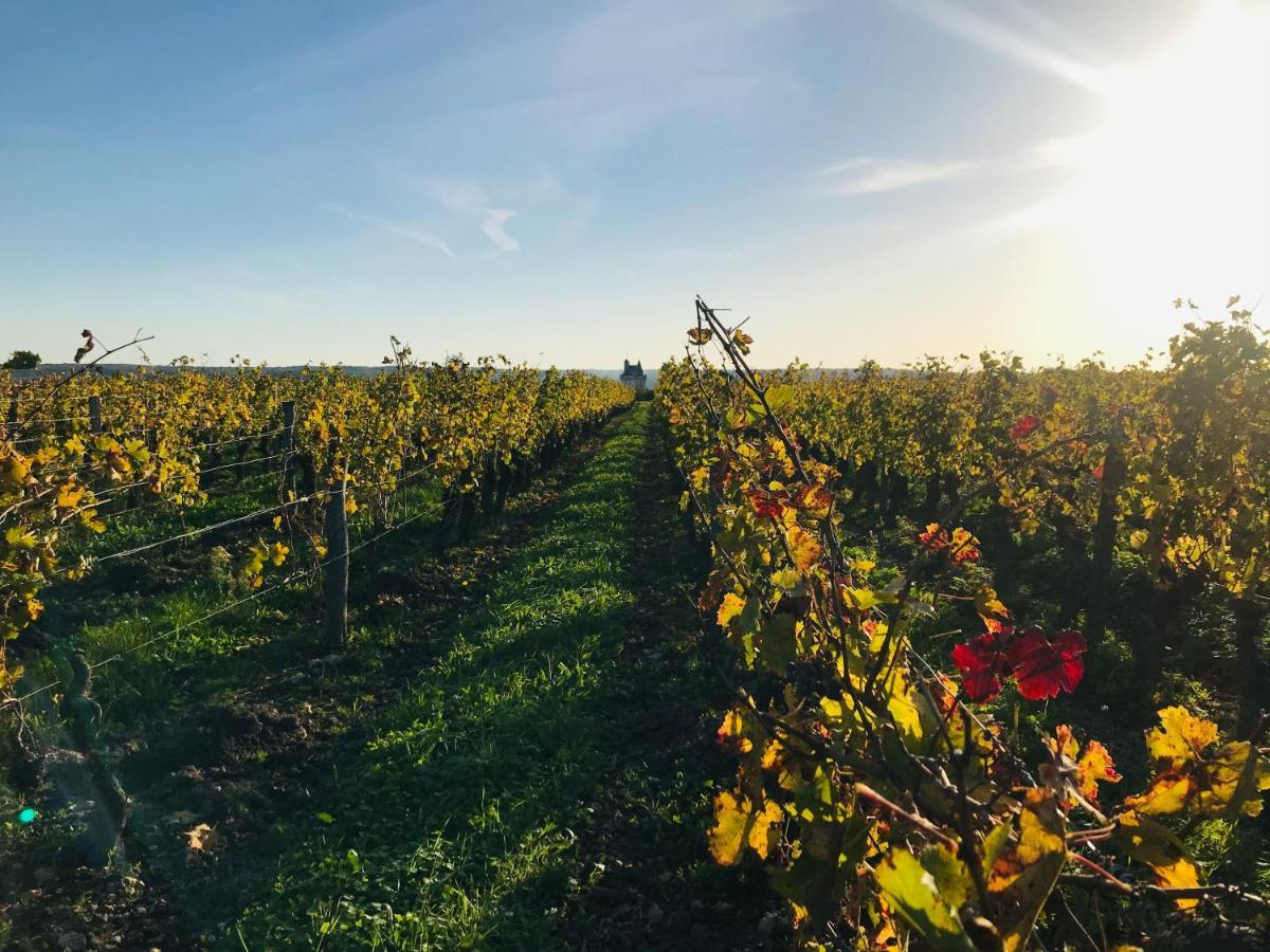 L'Ecrin De Verdure Ligré Dış mekan fotoğraf