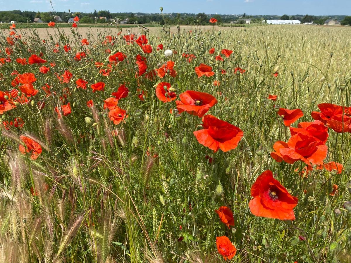 L'Ecrin De Verdure Ligré Dış mekan fotoğraf