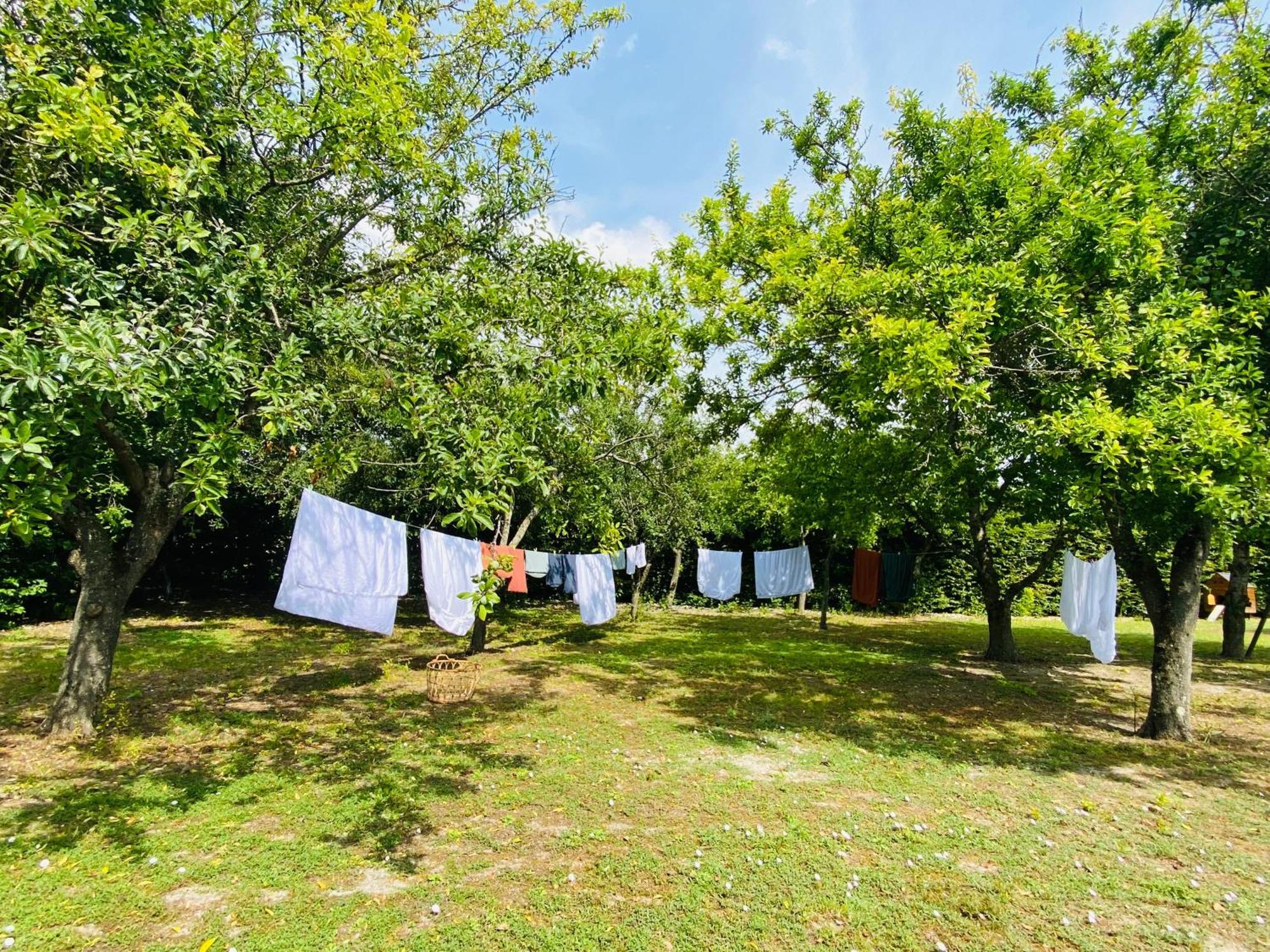 L'Ecrin De Verdure Ligré Dış mekan fotoğraf