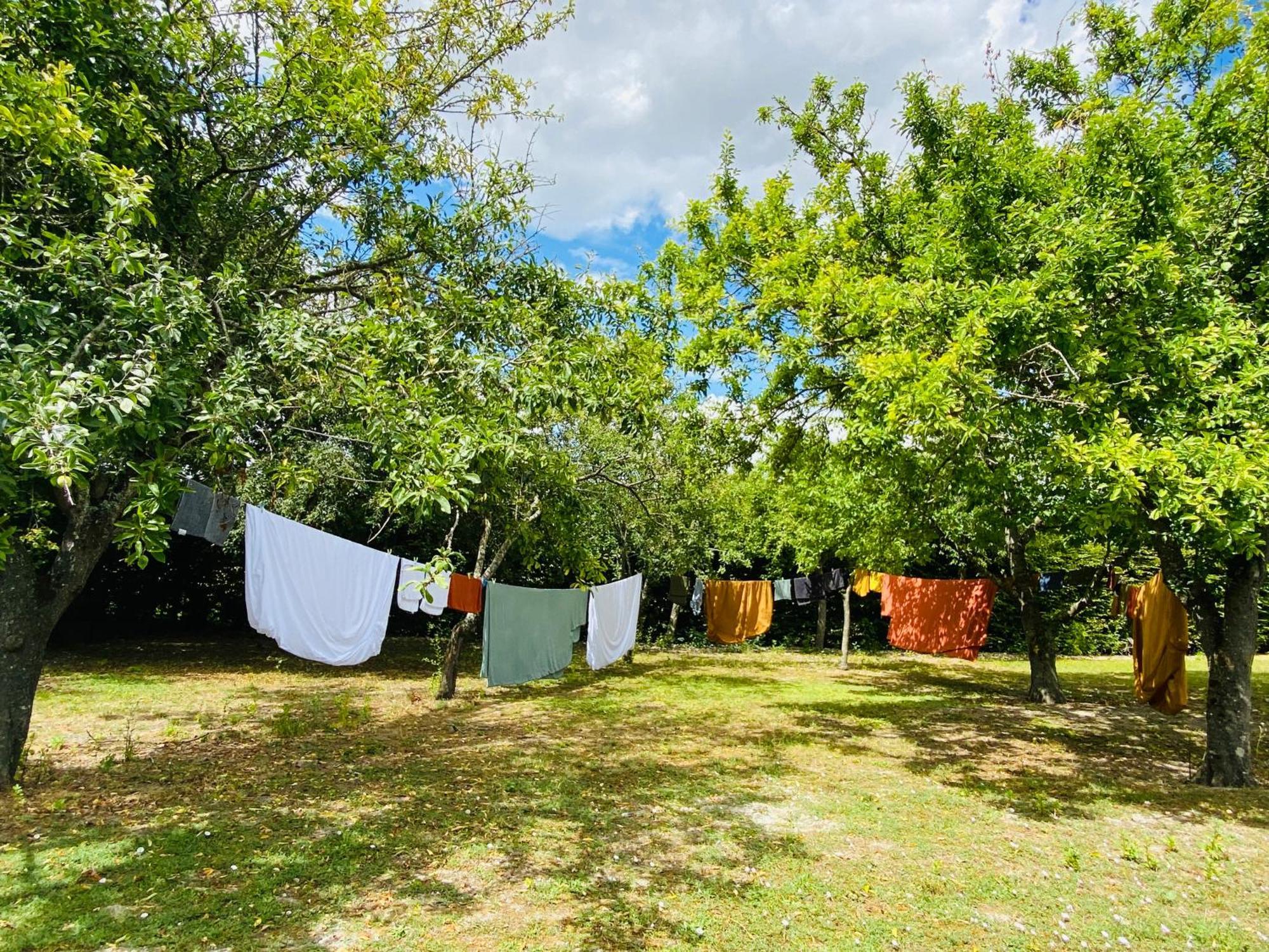 L'Ecrin De Verdure Ligré Dış mekan fotoğraf