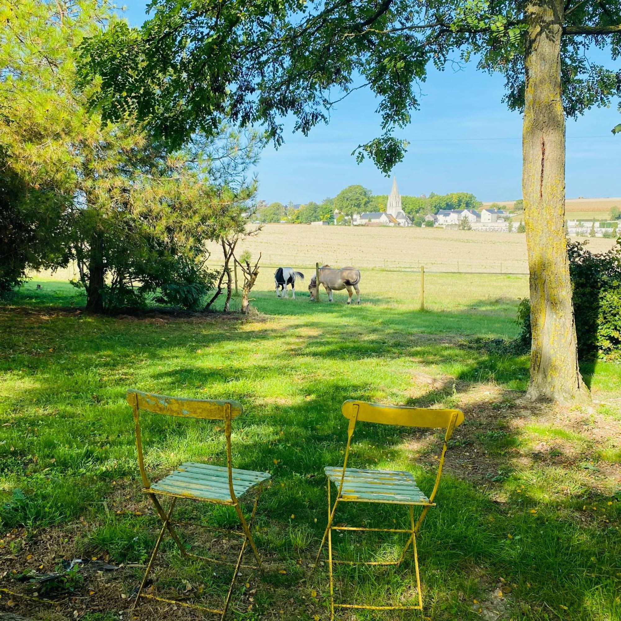 L'Ecrin De Verdure Ligré Dış mekan fotoğraf