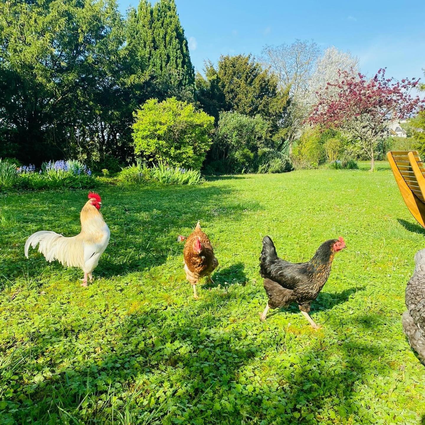 L'Ecrin De Verdure Ligré Dış mekan fotoğraf