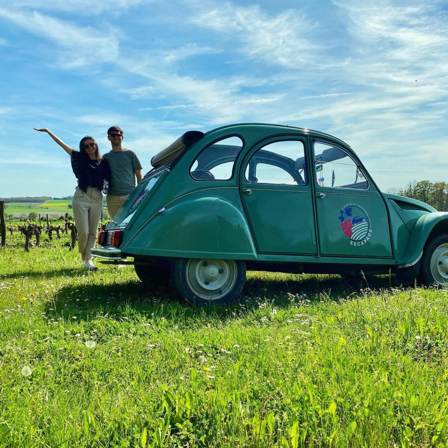 L'Ecrin De Verdure Ligré Dış mekan fotoğraf
