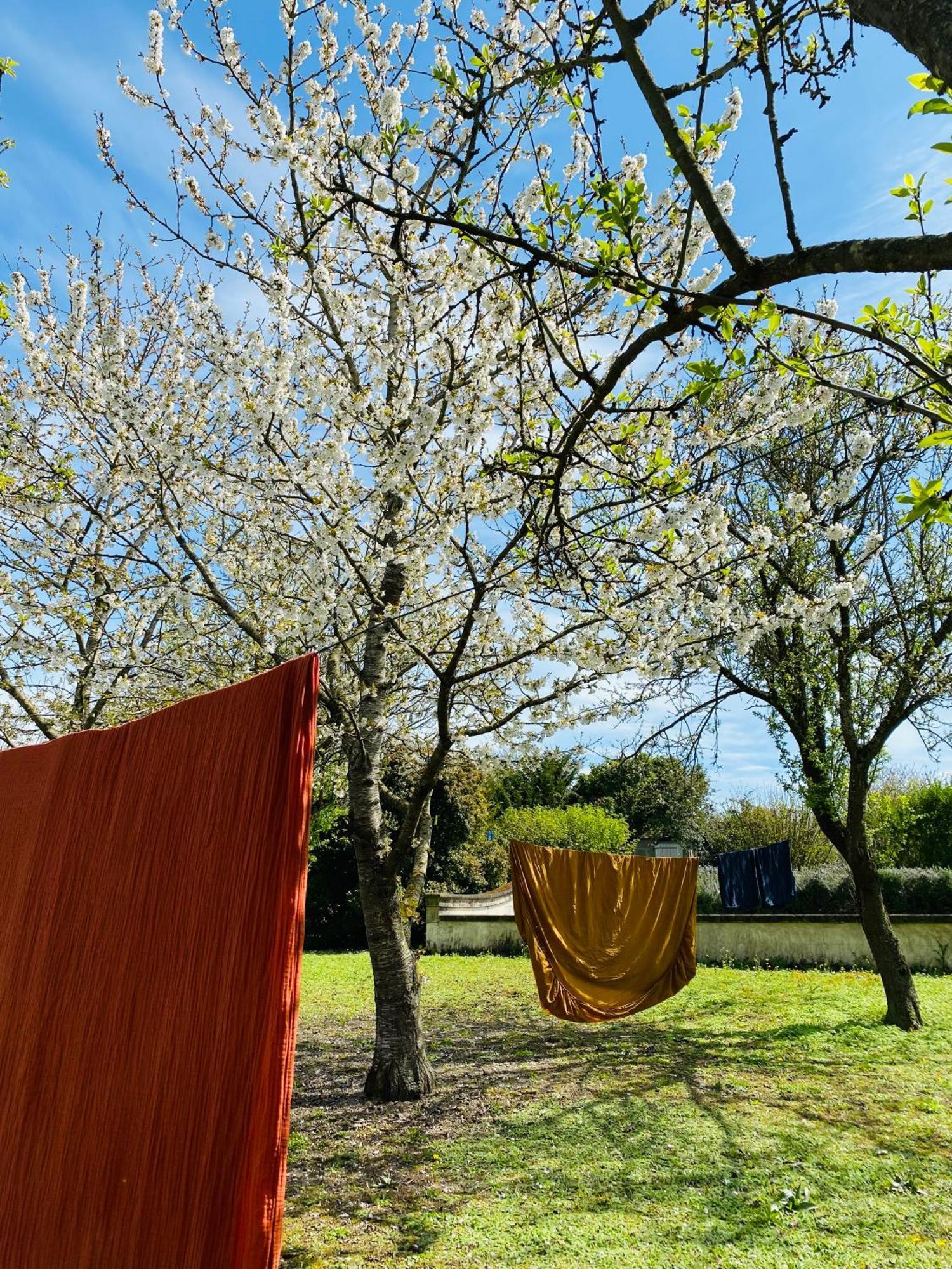 L'Ecrin De Verdure Ligré Dış mekan fotoğraf